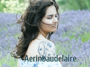 Aerinbaudelaire