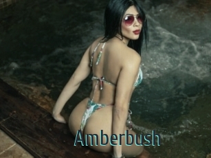 Amberbush