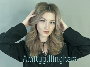 Amitygillingham