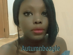 Autumnbeagle