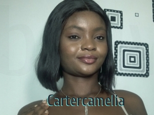 Cartercamelia