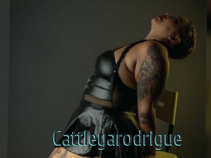 Cattleyarodrigue