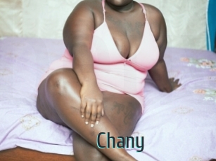 Chany