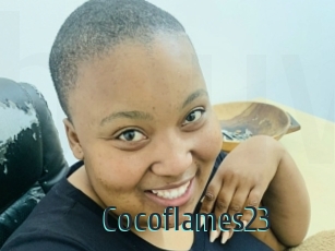 Cocoflames23