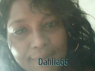 Dahlia66