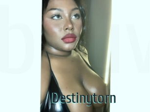 Destinytorn