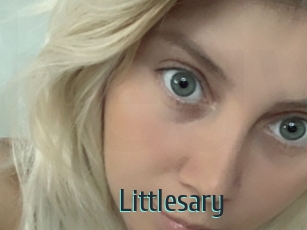 Littlesary