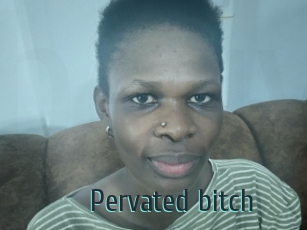 Pervated_bitch