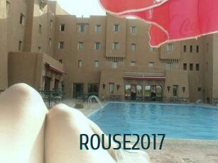 ROUSE2017