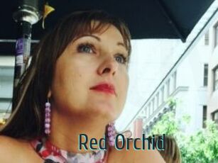 Red_Orchid