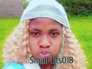 Small_tits018