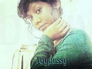 Toypussy